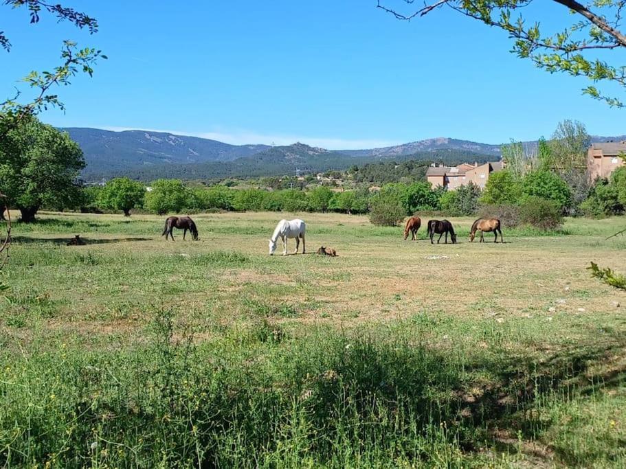 Apartamento El Puente Guadarrama Eksteriør billede